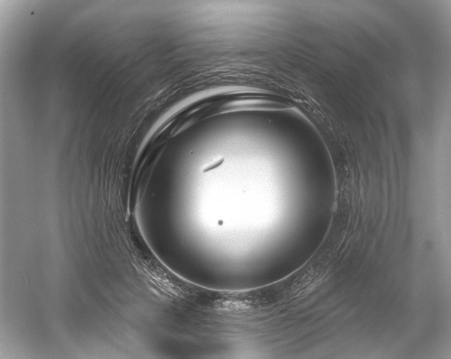 X0000061150649200511181235