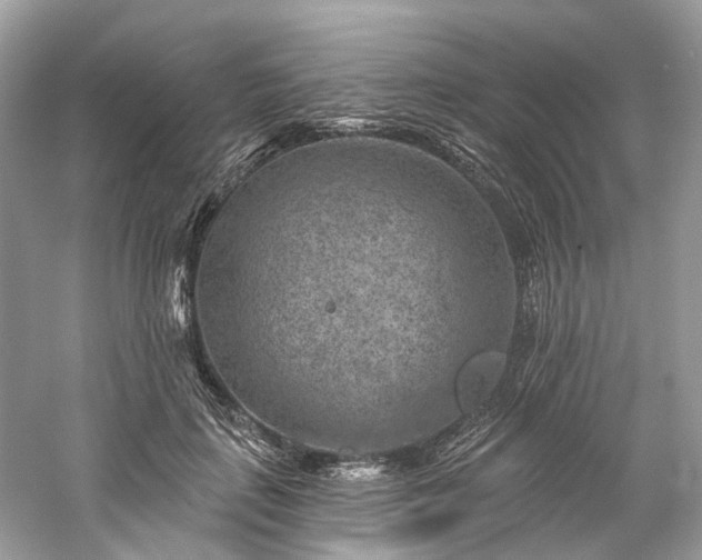 X0000061150651200511181235