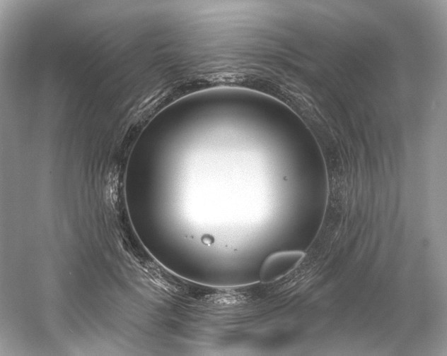 X0000061150652200511181235