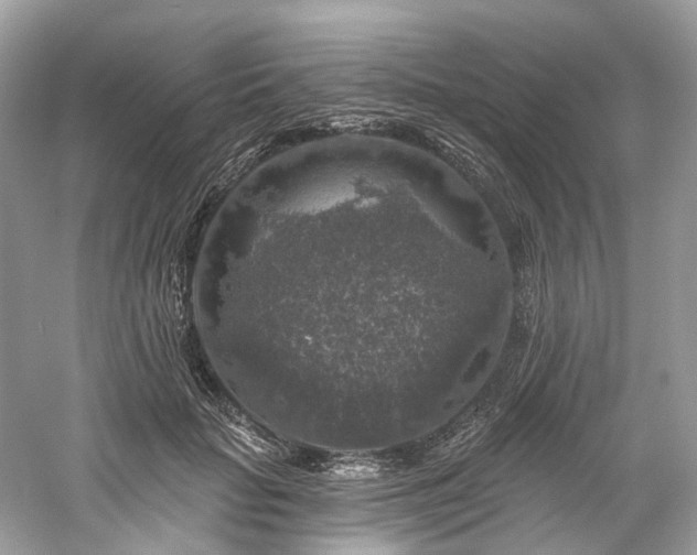 X0000061150653200511181235