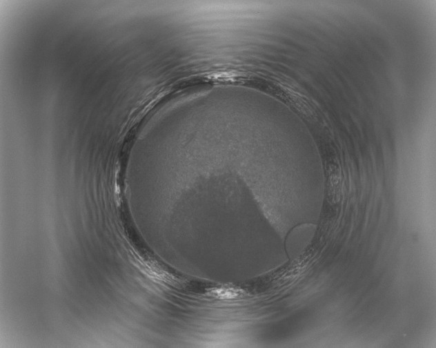 X0000061150654200511181235