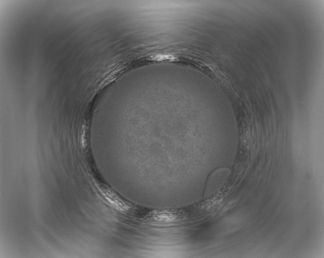 X0000061150658200511181236