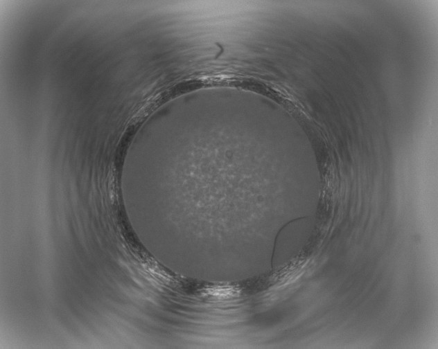 X0000061150659200511181236