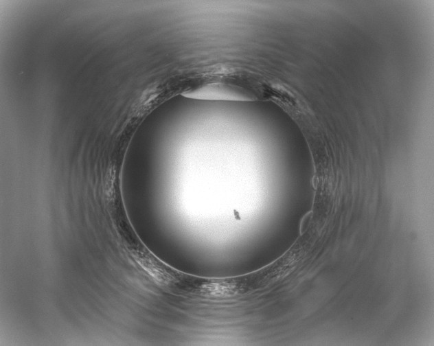 X0000061150660200511181236