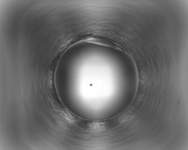 X0000061150664200511181236