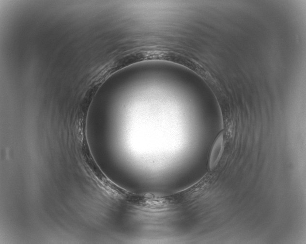 X0000061150666200511181236