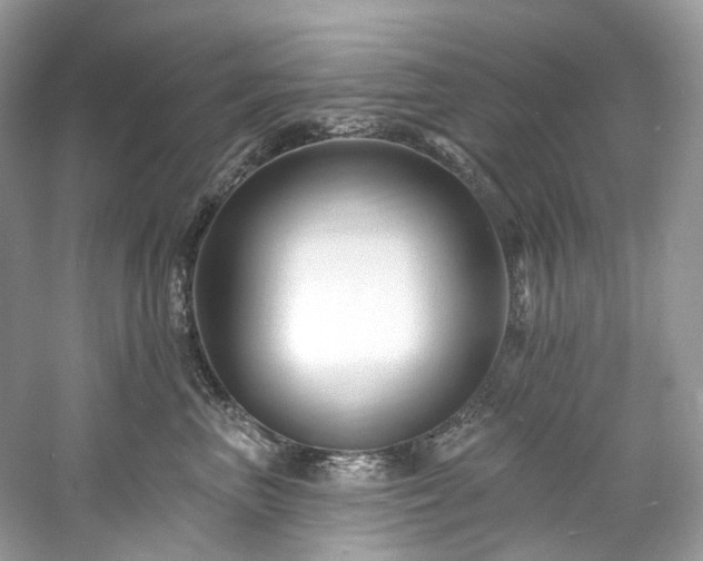 X0000061150667200511181236