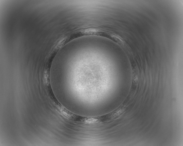 X0000061150669200511181236