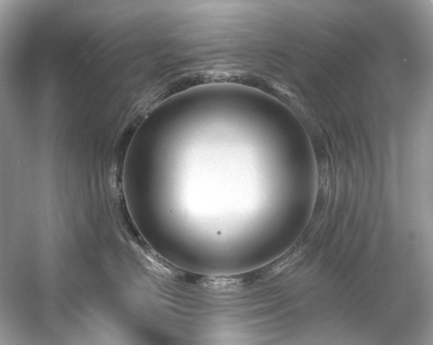 X0000061150670200511181236