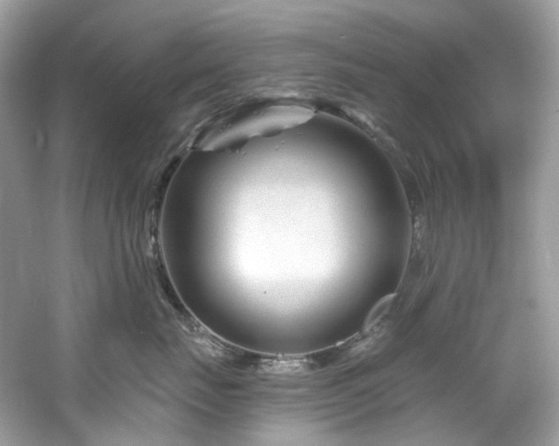 X0000061150671200511181236