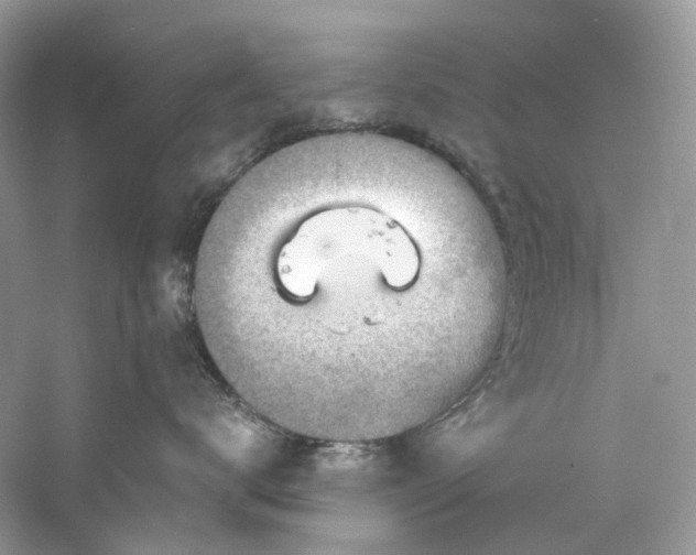 X0000061150672200511181236