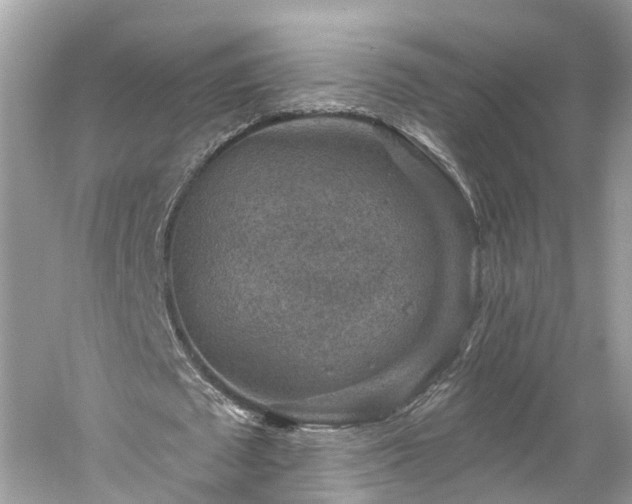 X0000061150673200511181235