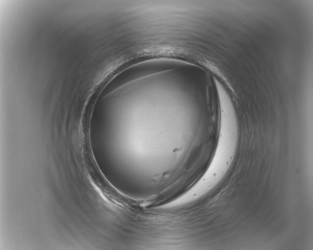 X0000061150674200511181235