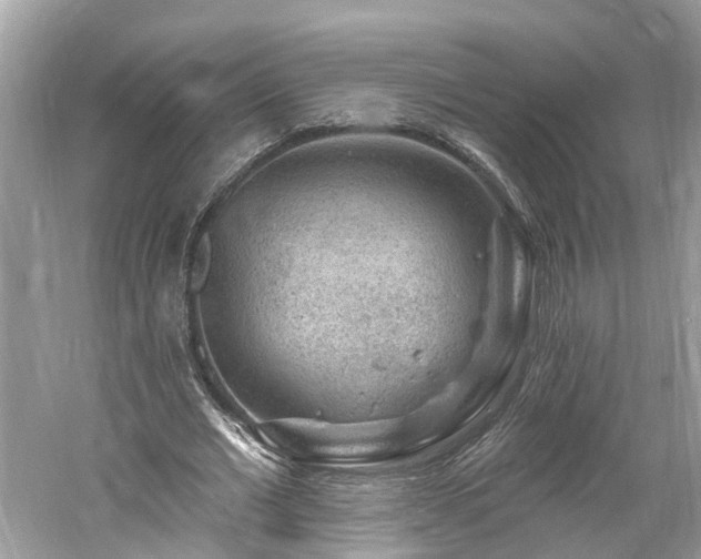 X0000061150677200511181235