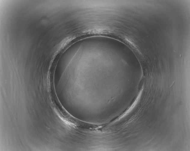 X0000061150678200511181235