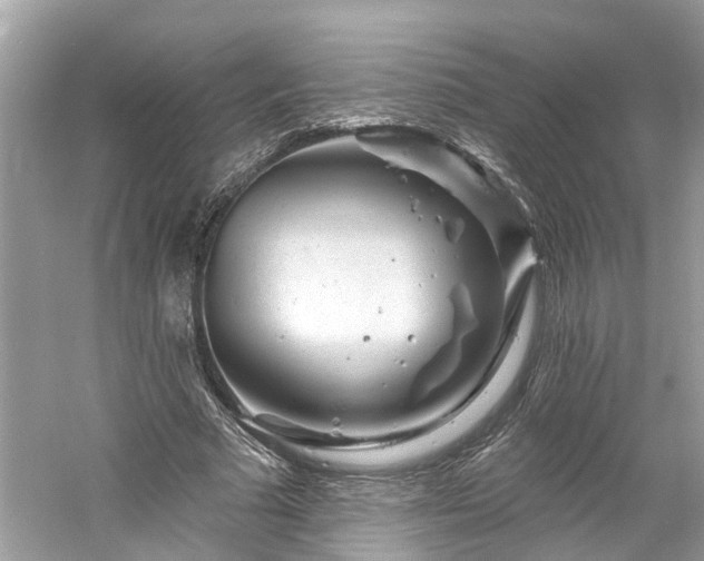 X0000061150681200511181235