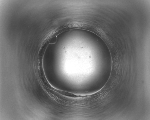 X0000061150683200511181235