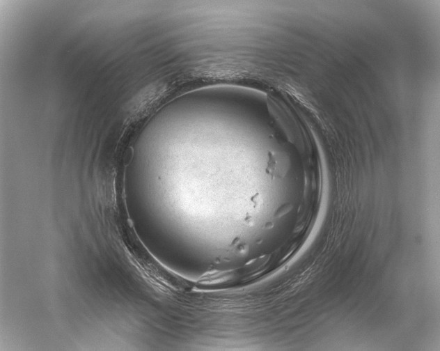 X0000061150685200511181235