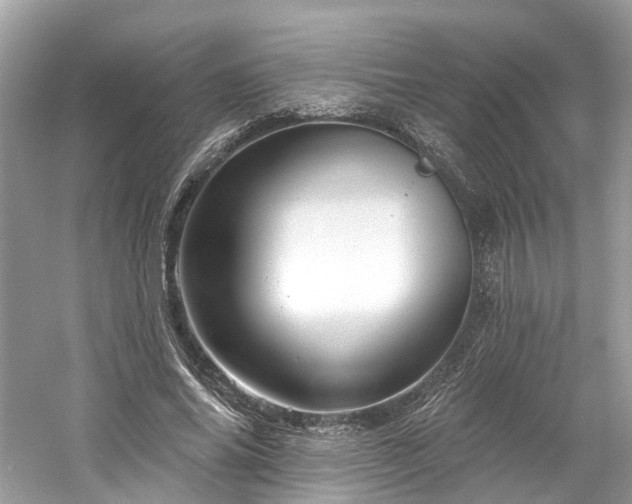 X0000061150686200511181235