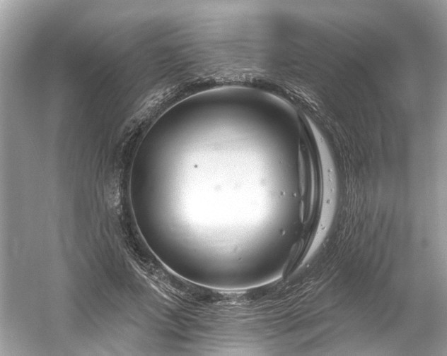 X0000061150687200511181235