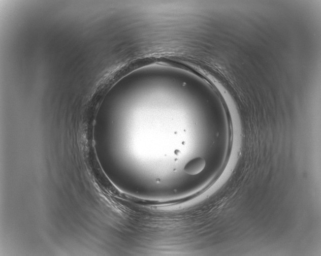 X0000061150688200511181235