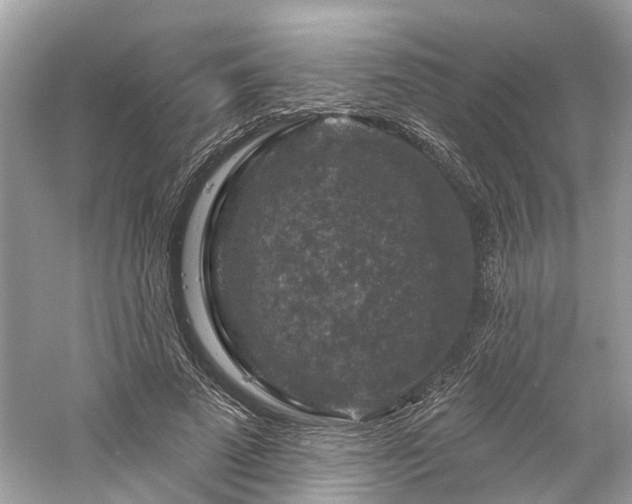 X0000061150689200511181235