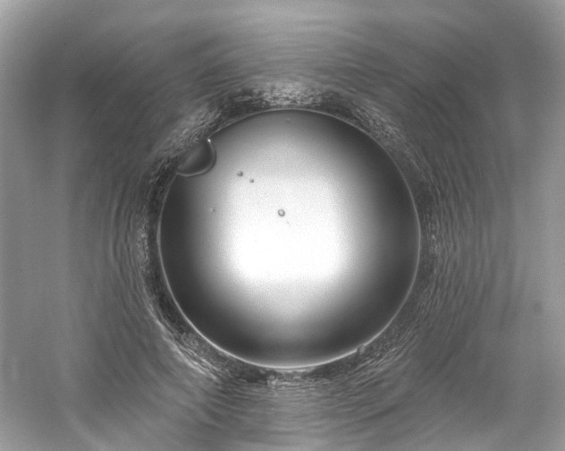 X0000061150690200511181235