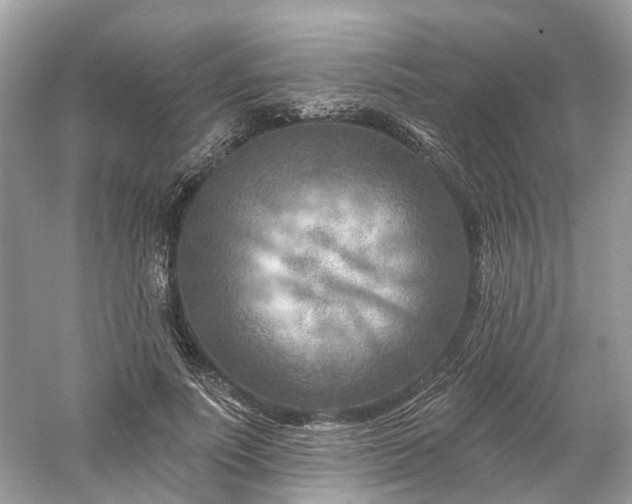 X0000061150691200511181235