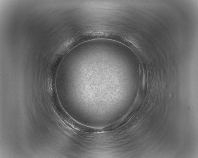 X0000061150692200511181235