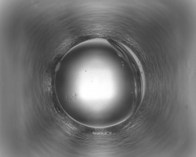 X0000061150693200511181235