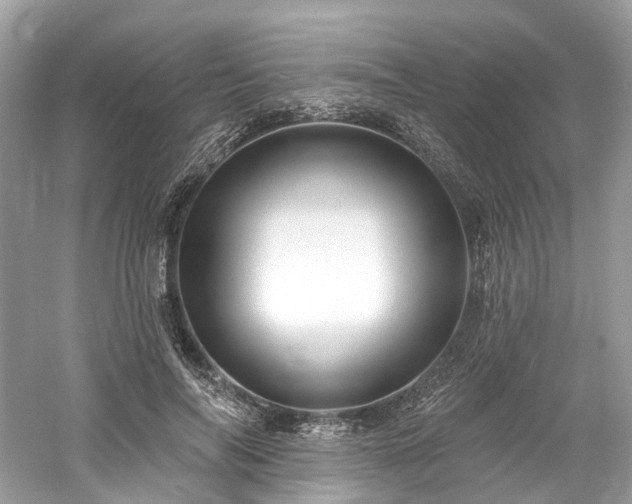 X0000061150694200511181235