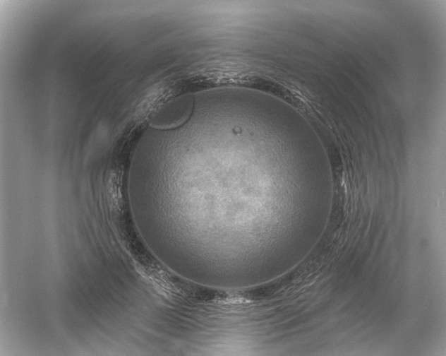 X0000061150695200511181235