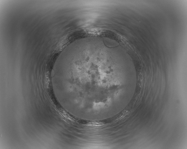 X0000061150707200511181234