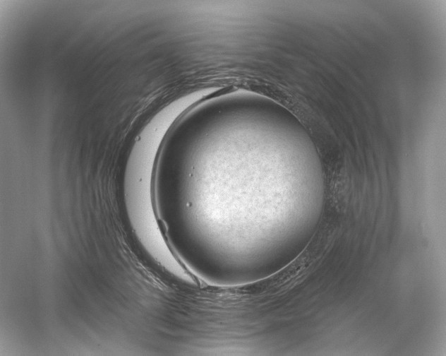 X0000061150708200511181234