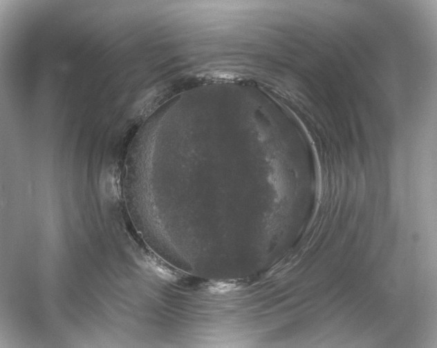 X0000061150718200511181234