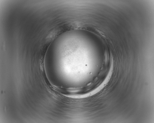 X0000061150719200511181234