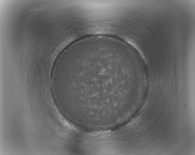 X0000061150721200511181233