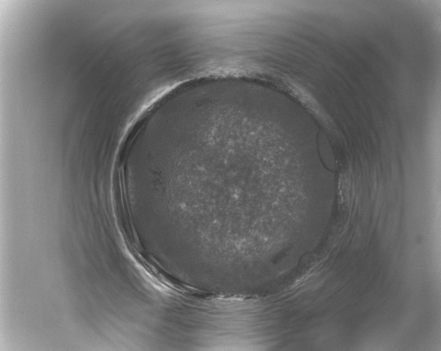 X0000061150722200511181233