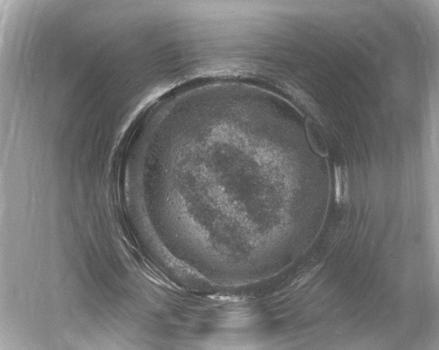 X0000061150723200511181233