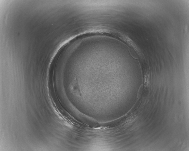 X0000061150724200511181233