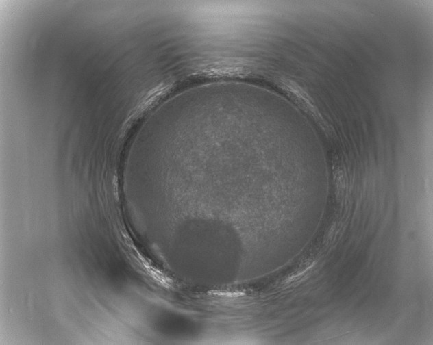 X0000061150729200511181233