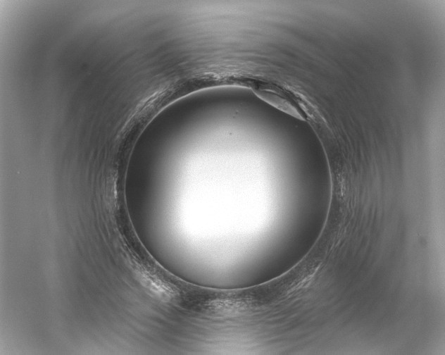 X0000061150733200511181233