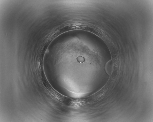 X0000061150754200511181234