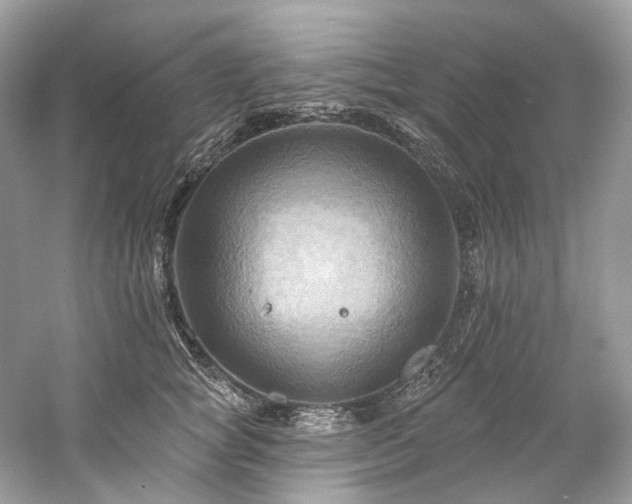 X0000061150757200511181234