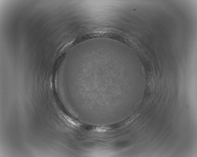 X0000061150758200511181234