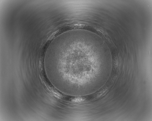 X0000061150759200511181234