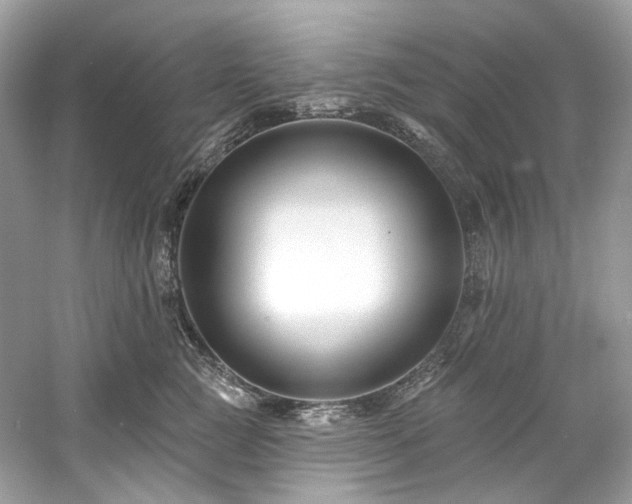 X0000061150761200511181234