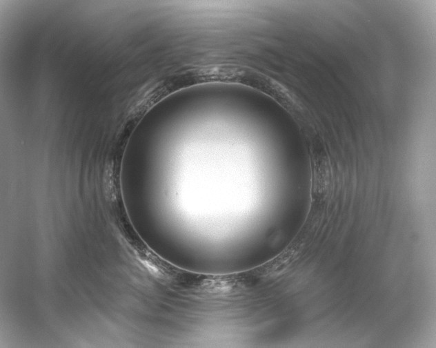 X0000061150764200511181234