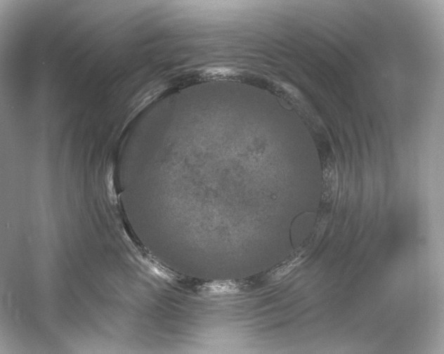 X0000061150765200511181234