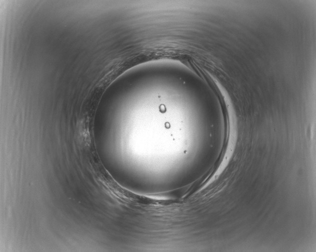 X0000061150771200511181233